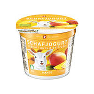 Joghurt Schafmilch Bio Mango 5 x 120 gr