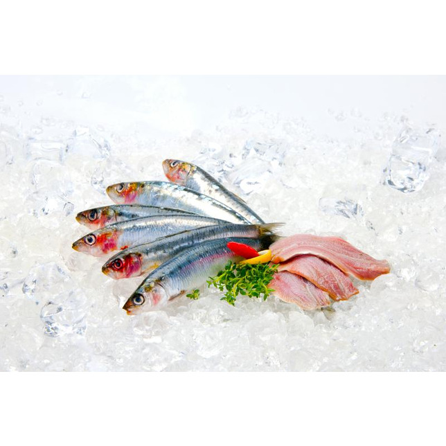 Sardine im Ganzen  Karton= 5x1000g  TK