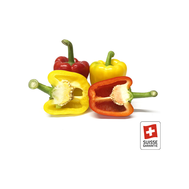 Peperoni gemischt rot / gelb (Schweiz)