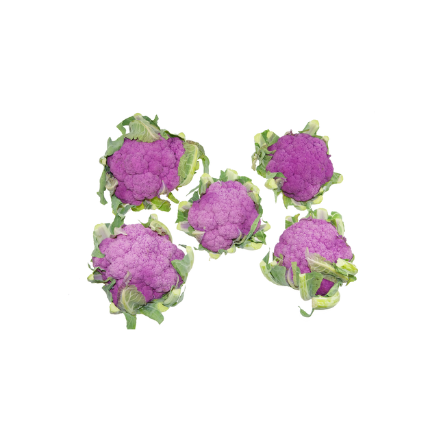 Blumenkohl violett
