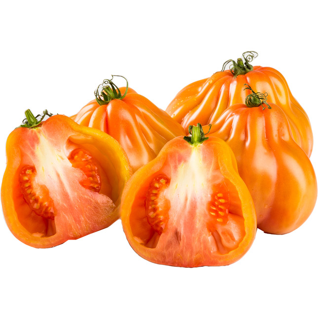 Ochsenherzen Tomaten         Kl.II IT