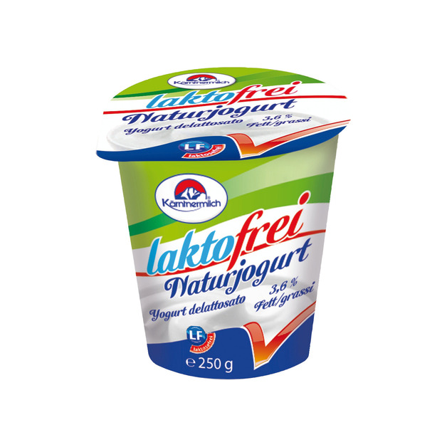 Kärntnermilch Naturjoghurt laktofrei 3,6 % Fett 250 g