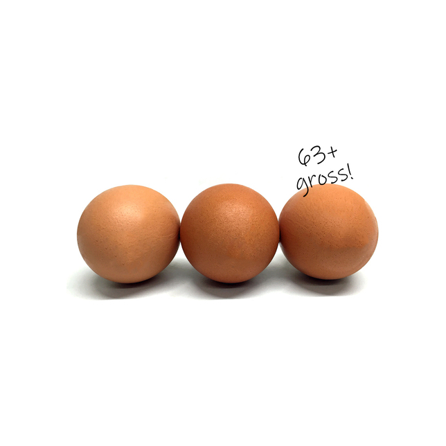 Eier Freiland GROSS 63+ roh 60 er