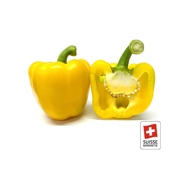 Peperoni gelb (Schweiz)