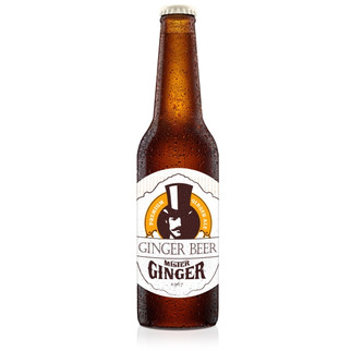 Mister Ginger - Premium Ginger Beer aus Österreich 0,33l EW