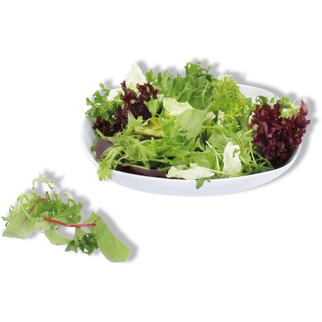 Salat Special Wedl 500g (Lollo Rosso/Lollo Bionda/Mangold/