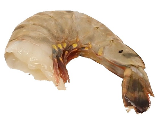 Bianchi - Golden Shrimps mit Kopf ohne Schale