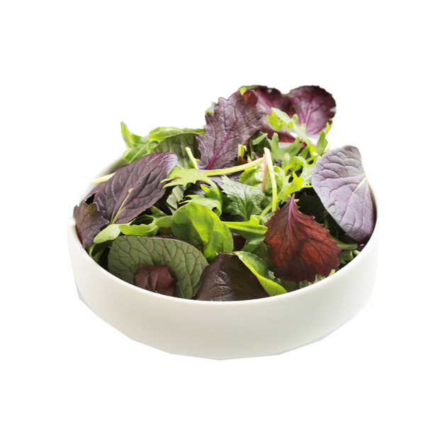 KH.Baby Leaf Mischung GER per 500g Packung KELTENHOF