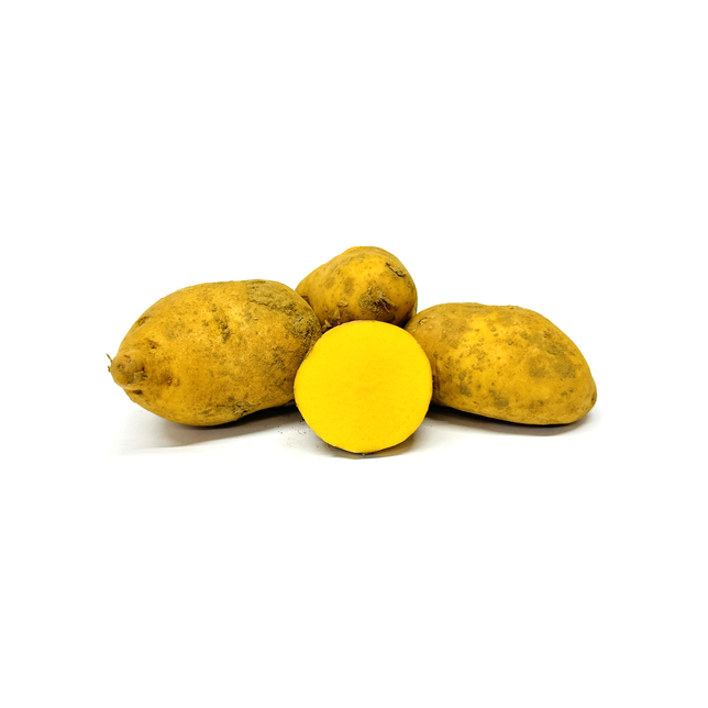 Kartoffeln Aztec Gold 40/60