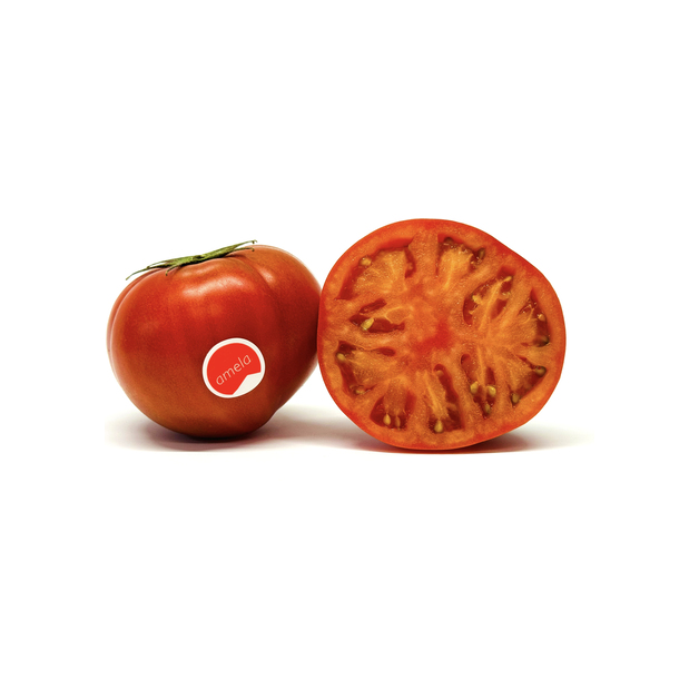 Tomaten Amela (Premium)