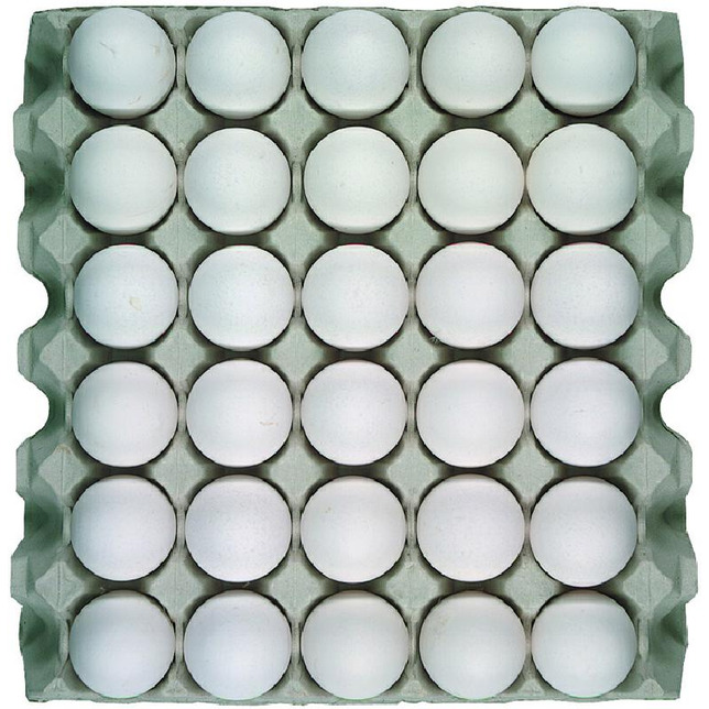 Eier Bodenhaltung Gwk L 90 Stück weiße Eier
