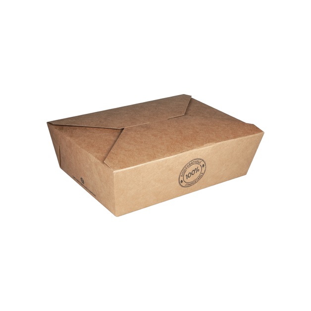 Take Away Box Karton 17,2 x 14 x 6,4 cm 25 Stk.