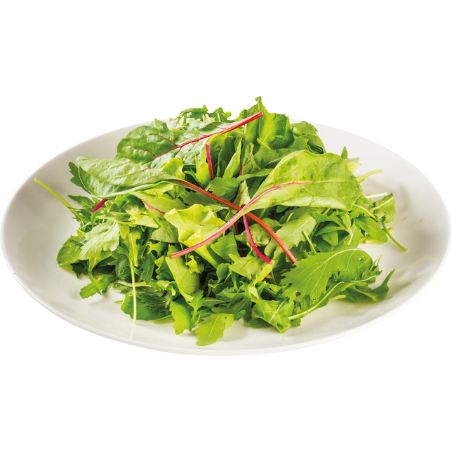 Baby-Leaf 800g                Kl.I ITA