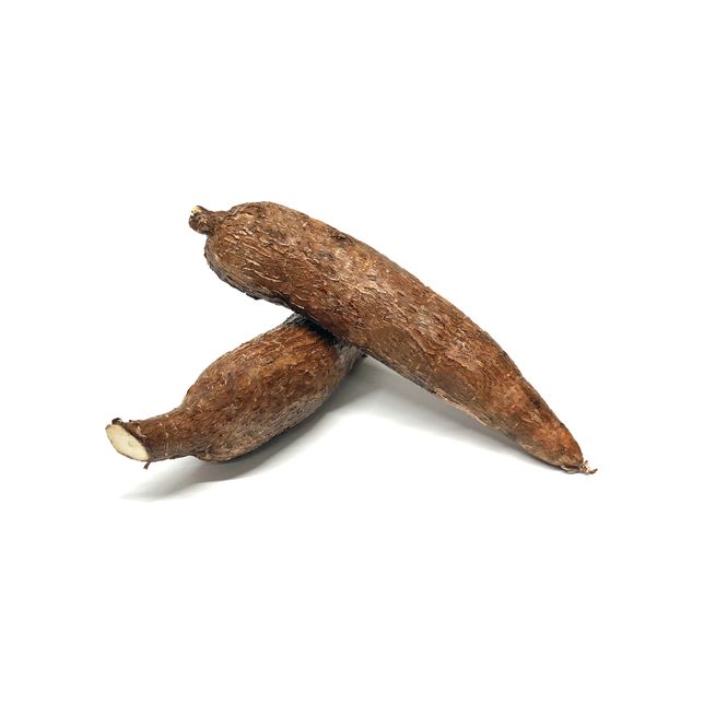 Maniok (Cassava)