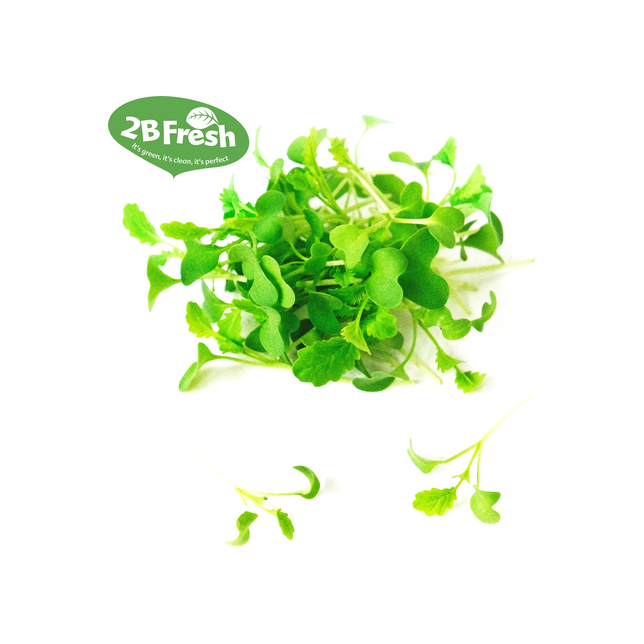 Micro Leaves Senf grün (Wasabi) 40 g