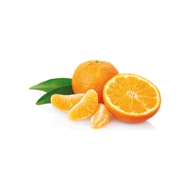 Fruchtpüree Mandarin Agrano 1kg