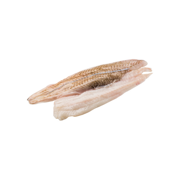 Schollenfilet 120-150g ohne Haut gefangen im Nordostatlantik ca. 1 kg