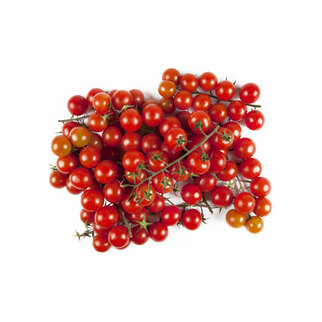 Tomaten Cherry Ramati (Strauch) EU