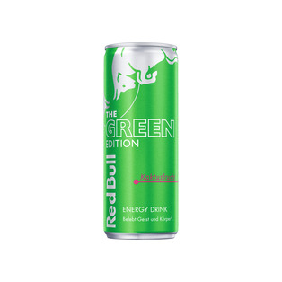 Red Bull Energy Drink The Green Edition Kaktusfrucht 0,25 l