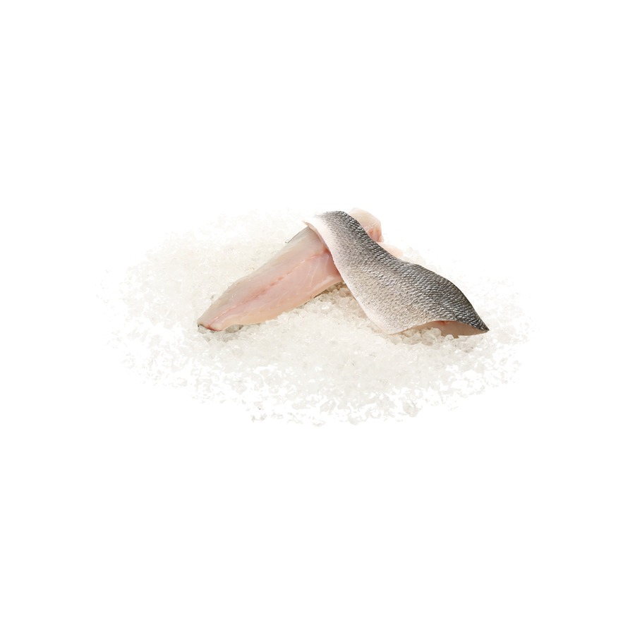Bianchi - Loup Bar (Wolfsbarsch) Filets GR Zucht