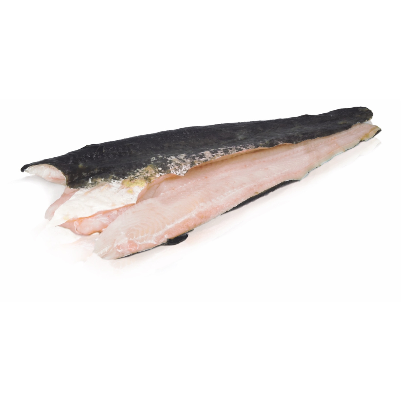 Transgourmet Österreich - Gut Dornau Wallerfilet 600-800g mit Haut in ...