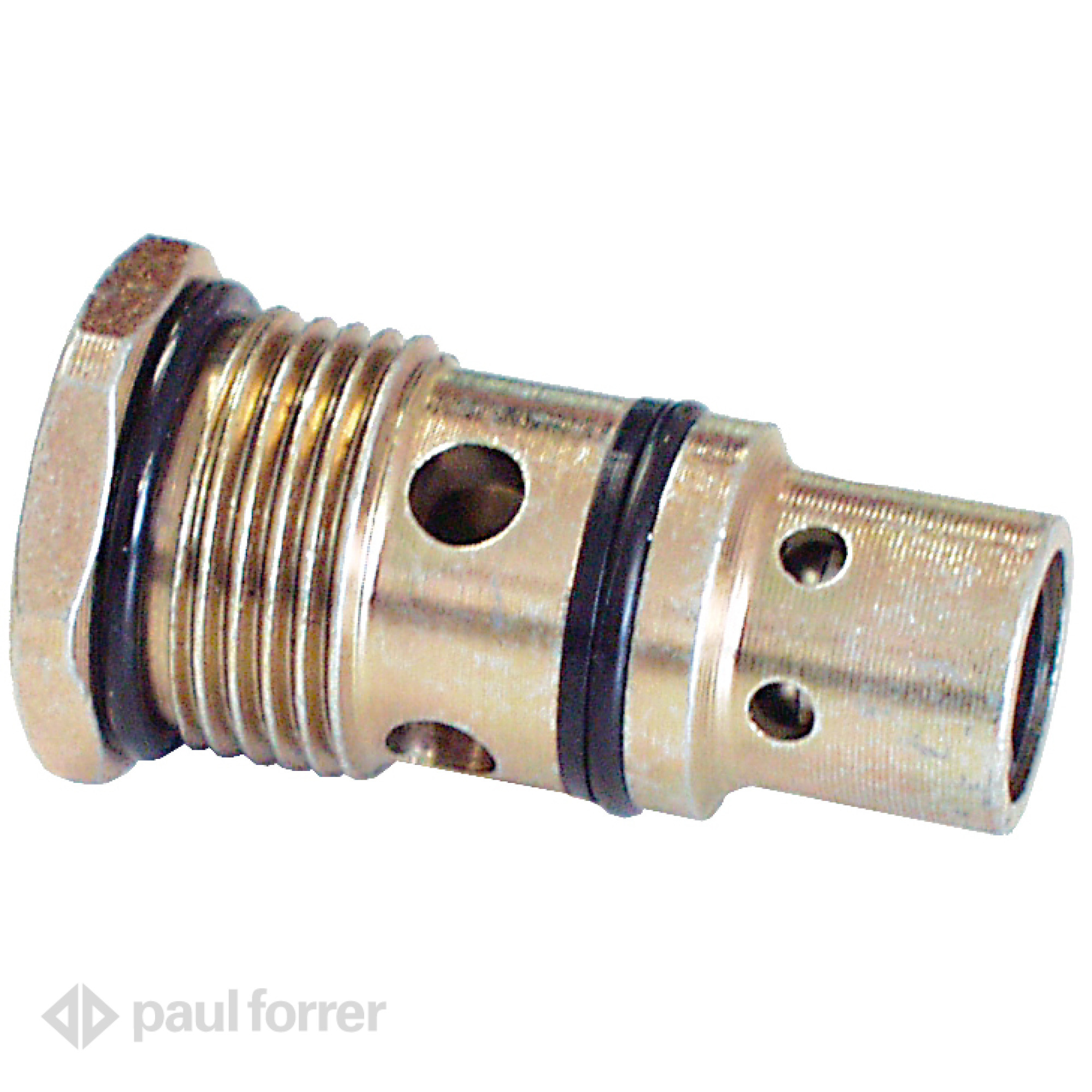 Paul Forrer AG - Nachsaugventil